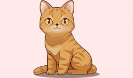 动漫 猫,猫咪的奇幻冒险之旅