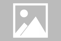 老司机啪啪视频