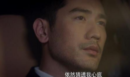 娱乐圈吃瓜剧情介绍,揭秘明星背后的惊天秘密